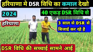 धान की सीधी बिजाई  Direct seed rice crop  DSR से धान की बिजाई  DSR विधि से धान की खेती  dsr [upl. by Gnouh909]