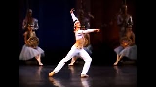 Denys Nedak in La Bayadere 2011 [upl. by Eihctir8]