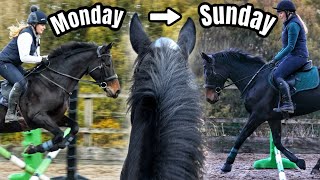 A WEEK IN THE LIFE OF MY NEW HORSE 🐴 [upl. by Day]