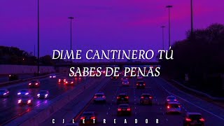 Dime cantinero tú sabes de penas ¿a los cuántos tragos me olvido de ella😷 [upl. by Joann]