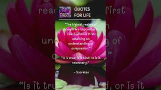 Quotes  Compassion Socrates [upl. by Naitsirk]