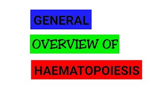 HAEMATOPOIESIS OVERVIEW [upl. by Ivek]