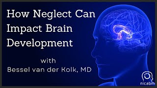 How Neglect Can Impact Brain Development – with Bessel van der Kolk MD [upl. by Petrina]