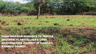 PlantVillages Land Rejuvenation Journey in Marigat Baringo Kenya Converting Prosopis to Biochar [upl. by Marcie]