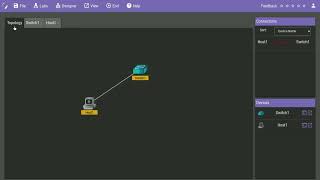 Implementing Ethernet LANS [upl. by Eniawtna]