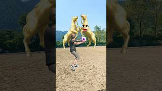 Golden Horse VS Man 🐎🐎 Funny Video shorts funny youtubeshorts [upl. by Atsugua550]