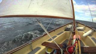 Chasing Dolphins Sailing a Picarooner [upl. by Tristan]