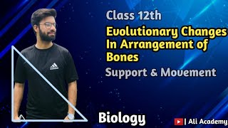 Evolutionary Changes In The Arrangement Of Bones  Locomotion In Vertebrates  Support amp Movement [upl. by Svensen]