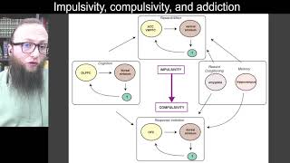 14 02  Spiraling circuits of impulsivity and compulsivity [upl. by Aldrich]