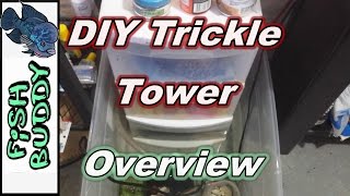 DIY Trickle Tower Filter and Overflow Overview [upl. by Analram]