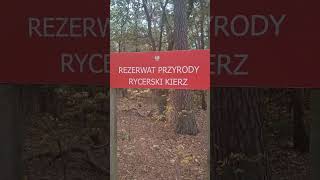 Rezerwat Przyrody Rycerski Kierz [upl. by Ssilb348]