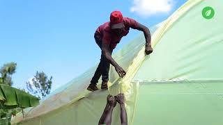 Greenhouse Installation in Muranga Synnefa [upl. by Heather]