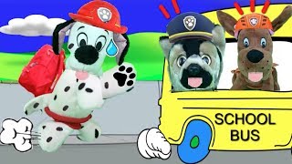 Patrulla canina juguetes español NUEVO BEBE PAW PATROL MARSHALL PIERDE BUS COLE O ESCUELA VERANO [upl. by Ainoet]