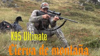 Blaser k95 Ultimate cazando ciervas en alta montaña [upl. by Blaseio]