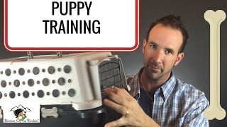 Dog Kennel Training Vs Crate Vs Do I Worry About It Part 1 [upl. by Yromas]