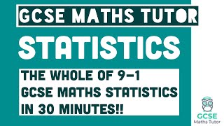 All of Statistics in 30 Minutes Foundation amp Higher Grades 49 Maths Revision  GCSE Maths Tutor [upl. by Auoy]