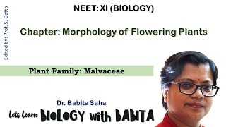 Morphology of Flowering Plants New Plant Families NEET 2024  Family Malvaceae [upl. by Orodisi]