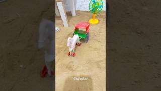 Mini Farming Setup❤️ mini farm animals minicowshed toys minihandpump shorts [upl. by Henrion155]