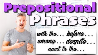 PREPOSITIONAL Phrases with among despite before next to the for since according to during [upl. by Noraf771]