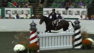 Video of POMEROL ridden by GILL LIBRO from ShowNet [upl. by Nivri]