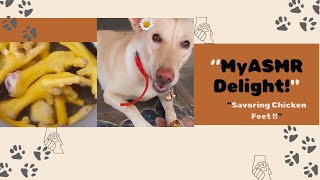 My pet ASMR Eating show  Cute Dog Eating Chicken Feet 😍🐾🍗 asmr mukbang dog pets [upl. by Esinart]