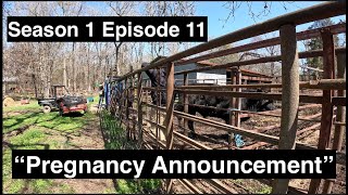 Morris Farms S1Ep11  quotPregnancy Announcementquot [upl. by Batty822]