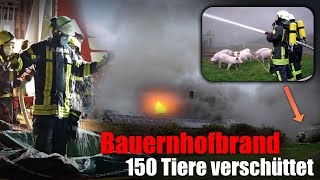 GROSSE RAUCHWOLKE Bauernhofbrand in Bissendorf Kreis Osnabrück  150 Schweine verenden [upl. by Aronoff]