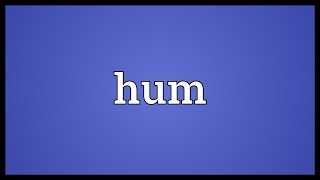 Hum Meaning [upl. by Aenert260]