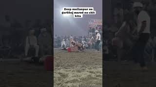 kustian youtubeshorts desidangalkusti kustidangal [upl. by Ric]