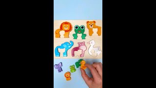 Baby Animals Names amp Facts For Toddlers kidslearning [upl. by Audy]