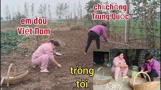 Chị Chồng Trung Quốc Chỉ Em Dâu Việt Nam Cách Trồng Tỏi [upl. by Eitisahc]