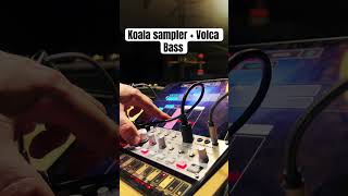 Koala sampler  Volca bass jam [upl. by Ylehsa241]