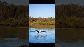 The Beauty of Nambucca Heads NSW Australia travel australia nature godisgood [upl. by Wira]