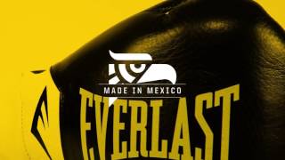 Everlast ELITE  Pro Fight Glove [upl. by Canale649]