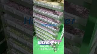 Drying Machine Dehydrator Widely Exported Dehydrator Vermicelli Dryer Equipment Noodle Dryer [upl. by Hook]