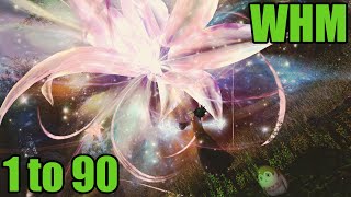 FFXIV Endwalker ConjurerWhite Mage 1 to 90 Leveling Skills Guide [upl. by Adierf]