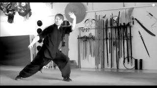 Choy Li Fut Kung Fu  Long fist demo [upl. by Estelle]