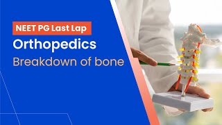 Orthopedics  Breakdown of Bone [upl. by Itra]