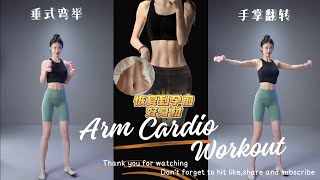 Arm Cardio Workout [upl. by Annayak128]