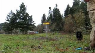 DISC GOLF  A tour of Cottage Grove Oregon disc golf course [upl. by Onitrof]