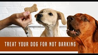 Barking dog sounds  noise desensitization for puppies and dogs [upl. by Pauwles]