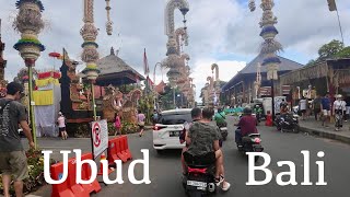 Time to Bicycle  Bali na koleCycling in IndonesiaJedu do města Ubudtravel vlog 21 [upl. by Wertheimer974]