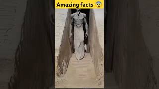 Amazing facts about Egypt 😨shortsfeed egypt shorts vairalshort [upl. by Aihsatsan74]