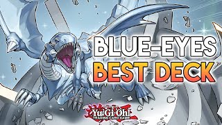 BlueEyes Just Turned Into The BEST Deck With This BROKEN NEW Support YuGiOh [upl. by Fabozzi]