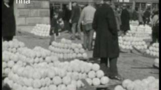 Kaasmarkt Alkmaar ca1930 [upl. by Galliett]