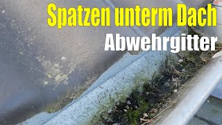 Spatzen unterm Dach  Abwehrgitter [upl. by Eseret]