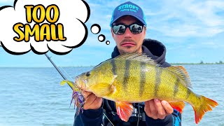 HOW WE PREPARE FOR THE WORLDS BIGGEST PERCH TOURNAMENT [upl. by Nossaj]