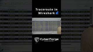 Traceroute in WiresharkquotHow does traceroute work in WiresharkDiscover the secrets inside the pcap [upl. by Hubbard505]