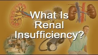 What Is Renal Insufficiency [upl. by Airec699]