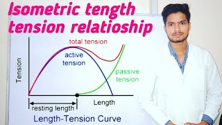 Isometric sarcomere length tension relationship  Muscle function [upl. by Sarette]